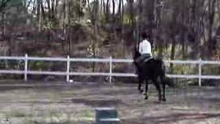 Me and Quintin bad trot