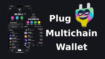Plug Wallet Tutorial: Secure Your Crypto (ICP & ckBTC) Like a Pro! 🔐