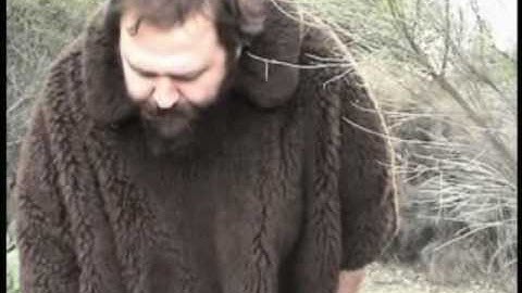 The Vision: A Senior Linguistics Thesis