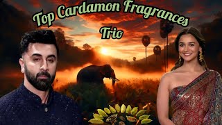 The Best Cardamon Fragrances - Trio