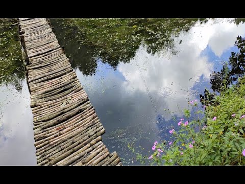 NGEBOLANG JALAN KAKI KE SITU CIBEUREUM,KAMOJANG SENDIRIAN