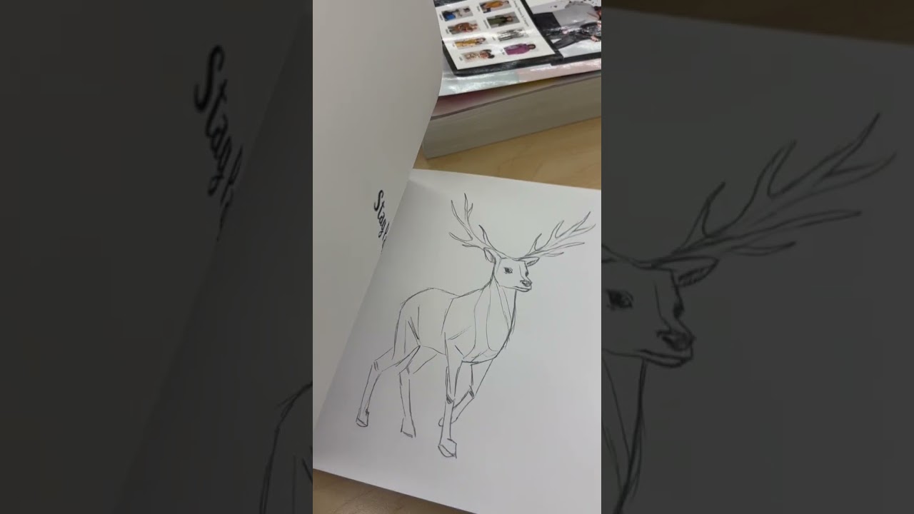 Harry Potter 🪄 Magic Coloring Books 📚 Color your Life! ❤️ JoAnn Shopping