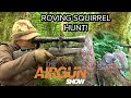 The Airgun Show | Hunting Grey Squirrels in Summer | Hammerli Black Force 400 airgun combo review