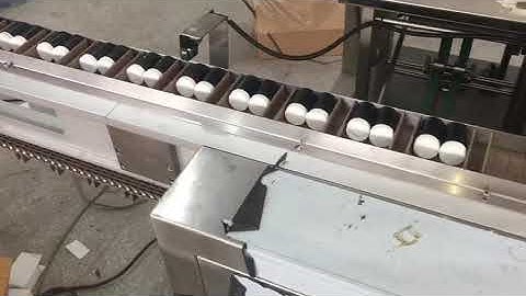 Two Bottle insert Carton Machine, Cartoning Machine with glue sealing