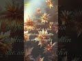 Eisblumen am Fenster – so zart und so schön ❄️✨