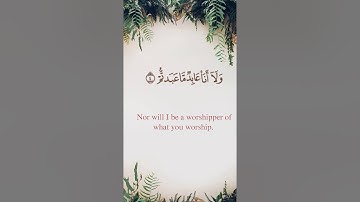 سورة الكافرون - أحمد بن طالب بن حميد - مترجم - حالة واتس