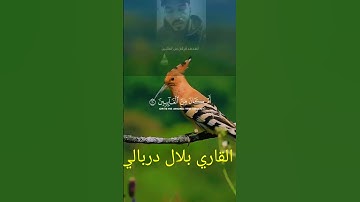 #القرآن_الكريم#القارئ#بلال#دربالي#تلاوة_خاشعة#سورة#النمل