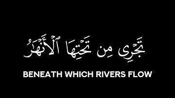 قالَ اللَّهُ هذا يَومُ يَنفَعُ الصّادِقينَ صِدقُهُم || كروما قران كريم شاشة سوداء || محمد ايوب