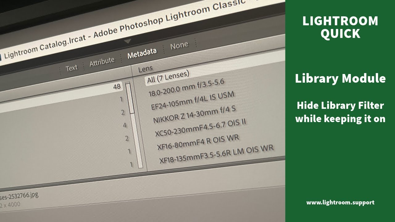 Lightroom Classic Library Module - Hide Library Filter while keeping it ...