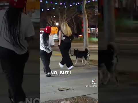 Brooklyn Was On Shark Time Viral Funny New Trending Comedy Indialove Brooklynfrost Shorts