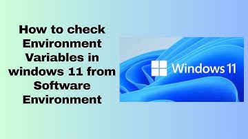 How to check Environment Variables in windows 11 from Software Environment