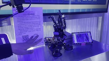 Robotic hand wins rock-paper-scissors every time at services trade fair