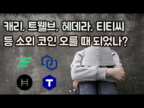 캐리 트웰브 헤데라 티티씨 등 소외 코인 오를 때 되었나 