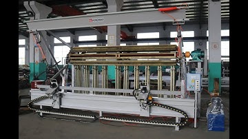 Operation video of hydraulic clamp carrier