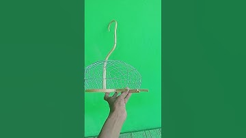 sangkar jebak perkutut #shortvideo