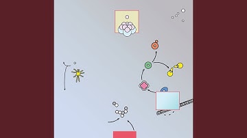 Making the Last Train