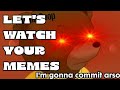LET'S WATCH SOME LITTLE BROWN BEAR MEMES
