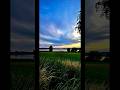 beautiful morning #2025 #nature #rügen #deutschland #wildlife #Sonnenaufgang