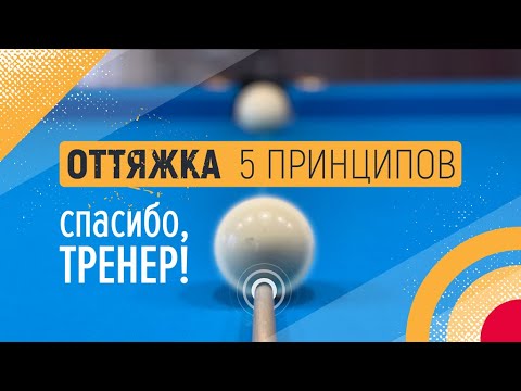 ОТТЯЖКА 5 ПРИНЦИПОВ | Спасибо,Тренер!