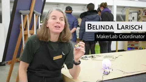 How to Make a BrushBot