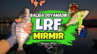 Baliğa Doyamadik Lrf Ile Mirmir Avi Ikavı Ik
