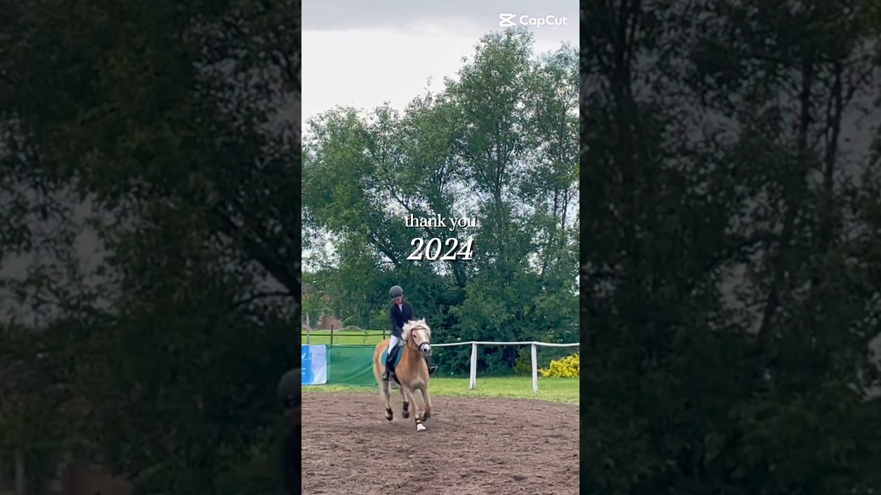 2024 verseny szezon 🏆🤍