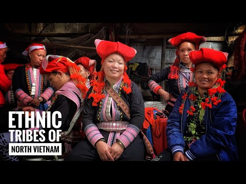 Video: Kusafiri Kwenda Vietnam. Sapa