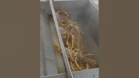 Máy rửa Sâm Tech Garden. Lh 0935911775 Trần Trinh.