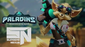 Paladin Beta Gameplay PiP