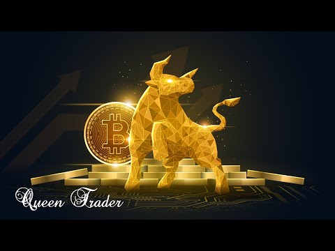 تريدر فوق حرفه اى قسمت ششم