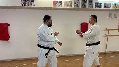 Circular block Wa uke mawashi uke Sensei Totibadze 8 Dan karate