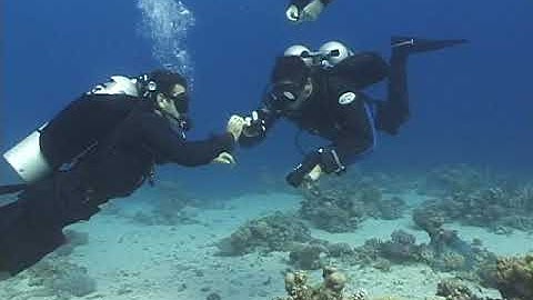 (5thD-X) Essentials Of Technical Diving (9 failures Introduction)