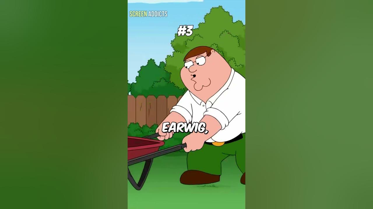 5-more-of-the-funniest-insect-moments-in-family-guy-youtube