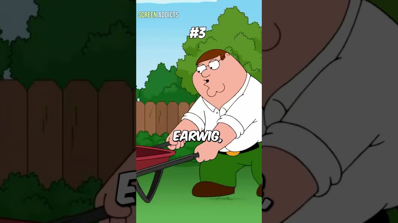5 More Of The Funniest Insect Moments In Family Guy YouTube 5 More Of The Funniest Insect Moments In Family Guy YouTube