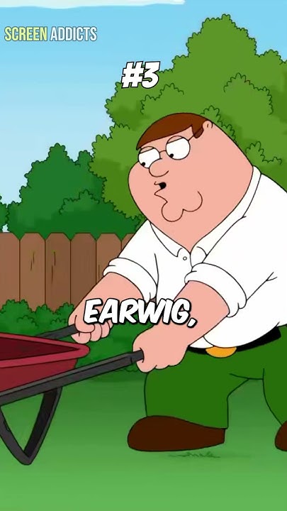 5 More Of The Funniest Insect Moments In Family Guy YouTube 5-more-of-the-funniest-insect-moments-in-family-guy-youtube