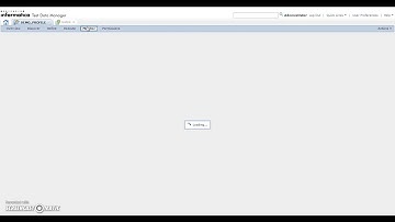 How to perform Data Profiling in TDM