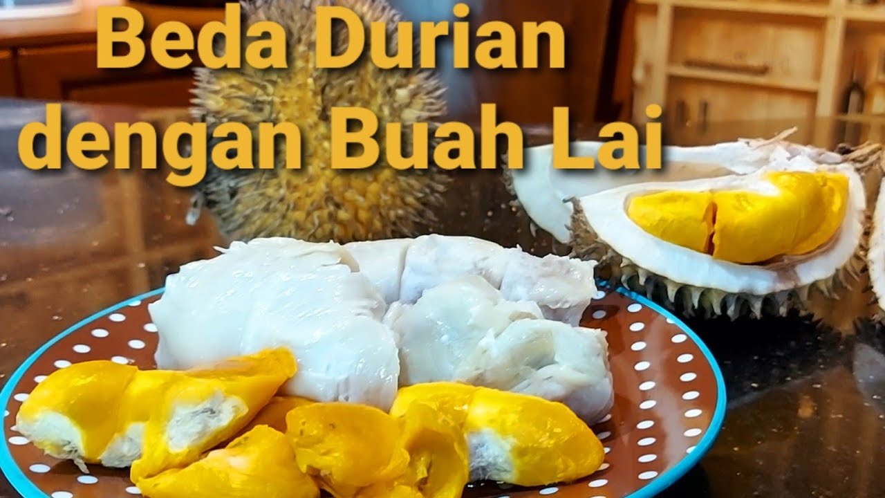 Durian dan buah perbedaan lai Mengenal 5