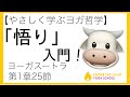 【ヨーガスートラ】第1章25節『悟り』入門！