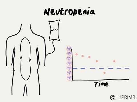 Doctor Explains Neutropenia During Chemotherapy