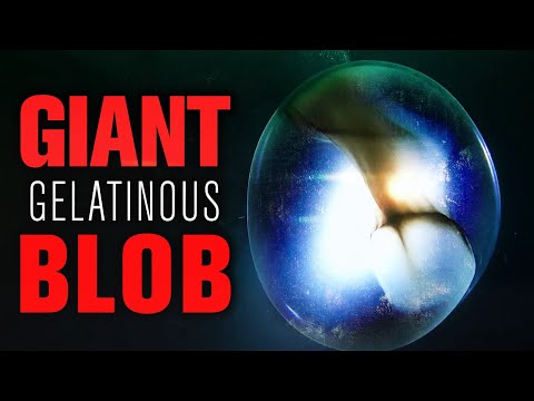 Giant gelatinous blobs near Norway | #gelatinous blob squid egg | #jelly orb | #the ocean is scary