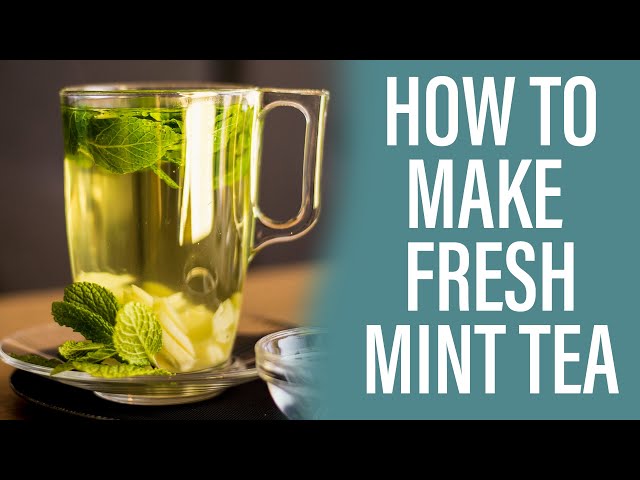 Quick and Easy Fresh Mint Tea Recipe