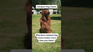 Eco-Friendly Pet Care Tips | Sustainable Dog Hacks-Eco Tips for Dog Owners | GoEcoPaw Hacks