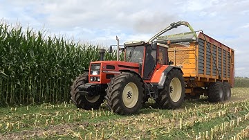 Mais hakselen door Folbert met een Claas Jaguar 960 + SAME Hercules en Laser van Kolkman (2025)
