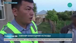 Сарыағаш ауданында 2700 түп көкнәр еккен қария ұсталды