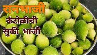 कंटोळीची सुकी भाजी। रानभाजी कंटोलीची भाजी। Kakora Sabji। PreetiSamelRecipes