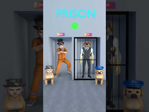 Handsome dog vs