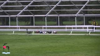 Mistrovství Čech 2014, Mladá Boleslav 05.10.2014 - Whippet Male Final A