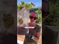 Cymbidium Orchid Almost Died! 🌱 The BEST Potting Mix to Save Yours! #orchidcare #cymbidium