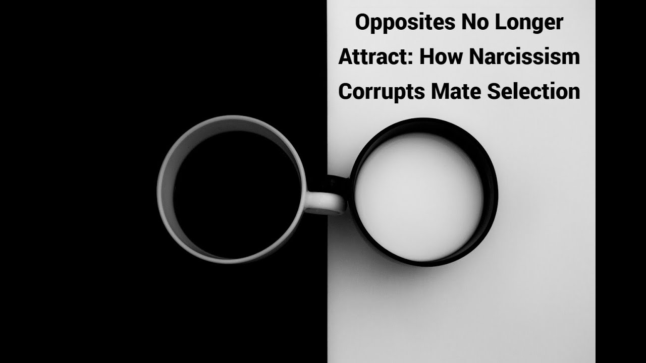 Video thumbnail — Opposites No Longer Attract: How Narcissism Corrupts Mate Selection