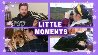 Little Moments | October 2020